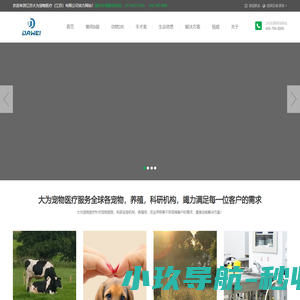 便携式动物彩超机