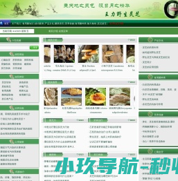 大连佰芝堂生物科技有限公司