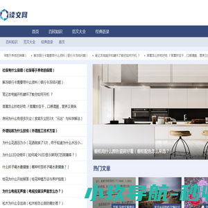 网站截图