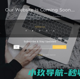 REMA连接器价格
