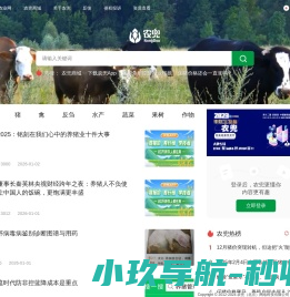 农兜网