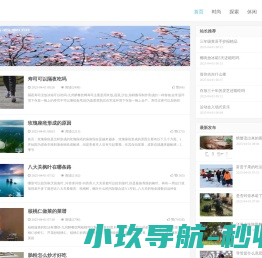 声东击西网