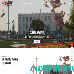 河南省标新电源有限公司