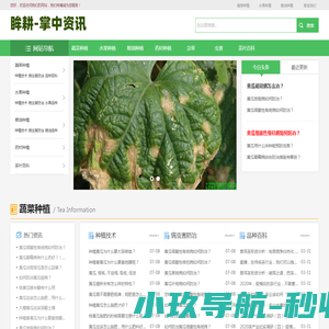  + webname + 