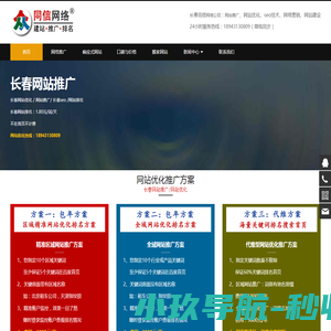 网站优化推广seo,关键词快速排名,无效退款