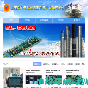山东胜利伟业石油工程技术服务有限公司