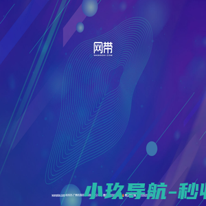 网带