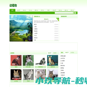 鸟类大全
