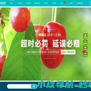 中通冷链