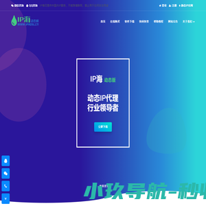 动态IP海