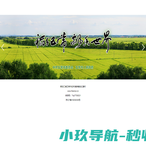 YASHIDA高精密平面磨床