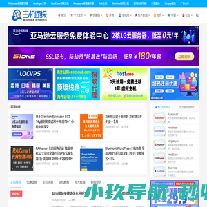 美国主机侦探