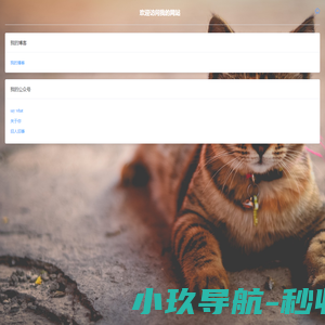 小黑子的主页