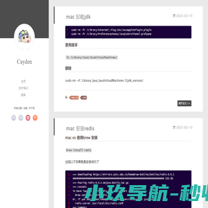 我的技术总结