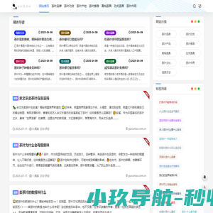 软件开发