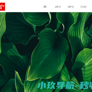 小漫熊（Amorr