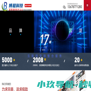 北京旋极百旺科技有限公司