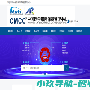 项目管理系统