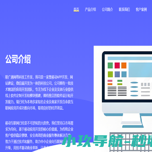 北京旋极百旺科技有限公司