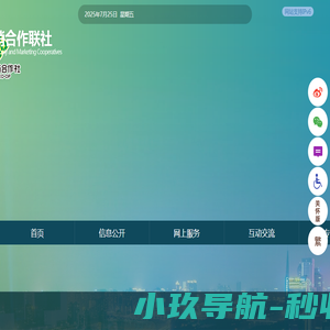 视频监控专业厂家