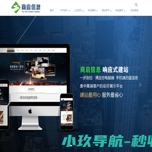 网站截图
