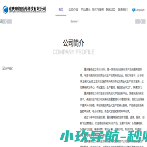 帝国cms源码网站模板