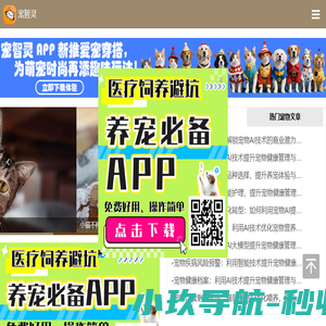 聚舒适