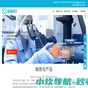 站长SEO