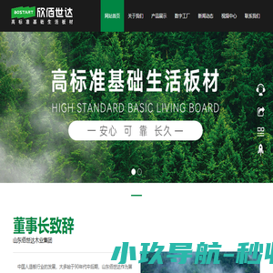 山东佰世达集团