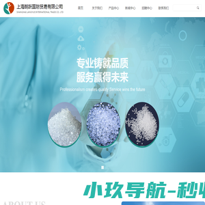 上海朗跃国际贸易有限公司