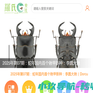 罗氏虫社