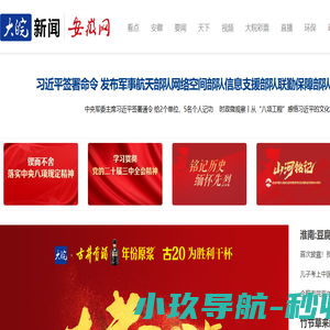 大皖新闻