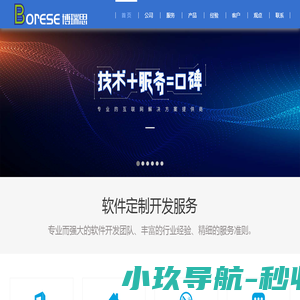 软件开发