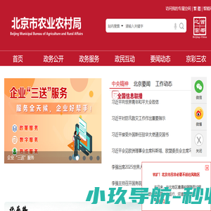 石墨制品,高纯电碳,异形热压炭素,真空泵,机械设备炉用浸锑模压密封