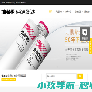 燃气锅炉领导者