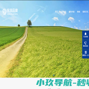12年的经验