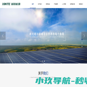 新特能源股份有限公司