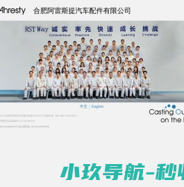 合肥阿雷斯提汽车配件有限公司