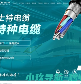 深圳泰士特线缆有限公司