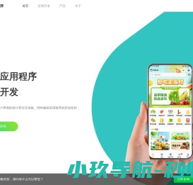 系统定制开发