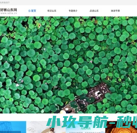 好客山东网