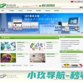 网站截图