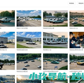 驾校在线咨询