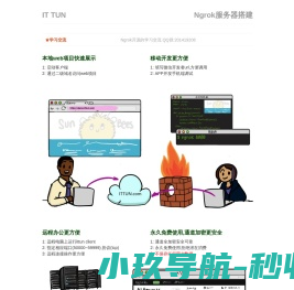 ngrok国内服务器