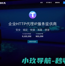 代理ip