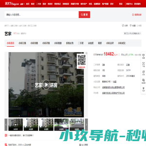 软件开发