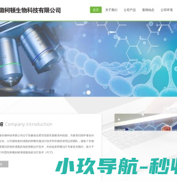 碳刷