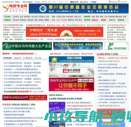 鸡病专业网