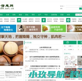 圆梦信息网