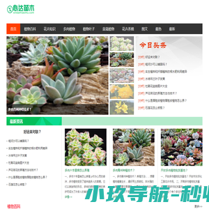 心达苗木